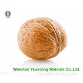 Walnut Kernels lichte stukken te koop